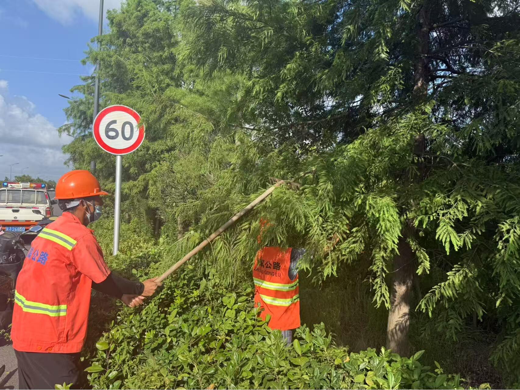 全域覆盖 精细化养护1.jpg